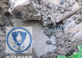 雷州水管漏水检测公司5